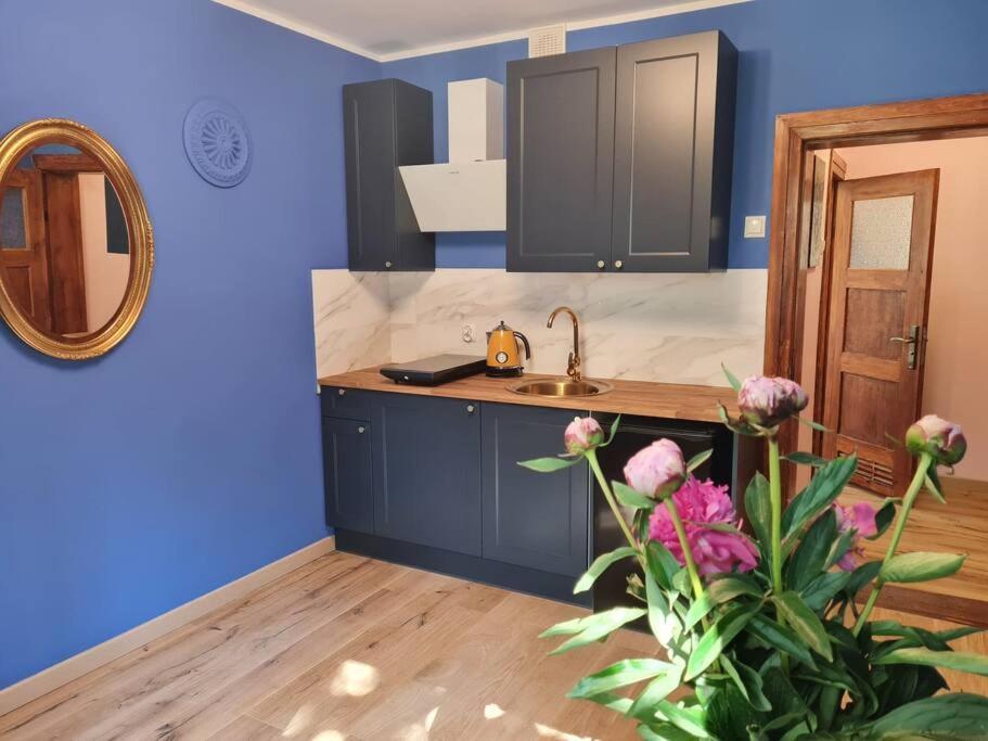 Apartament Kraszewskiego - Retro, Blisko Starowki, Kolo Parku, Ogrod Dla Gosci, Rowery Free Stary Toruń Kültér fotó