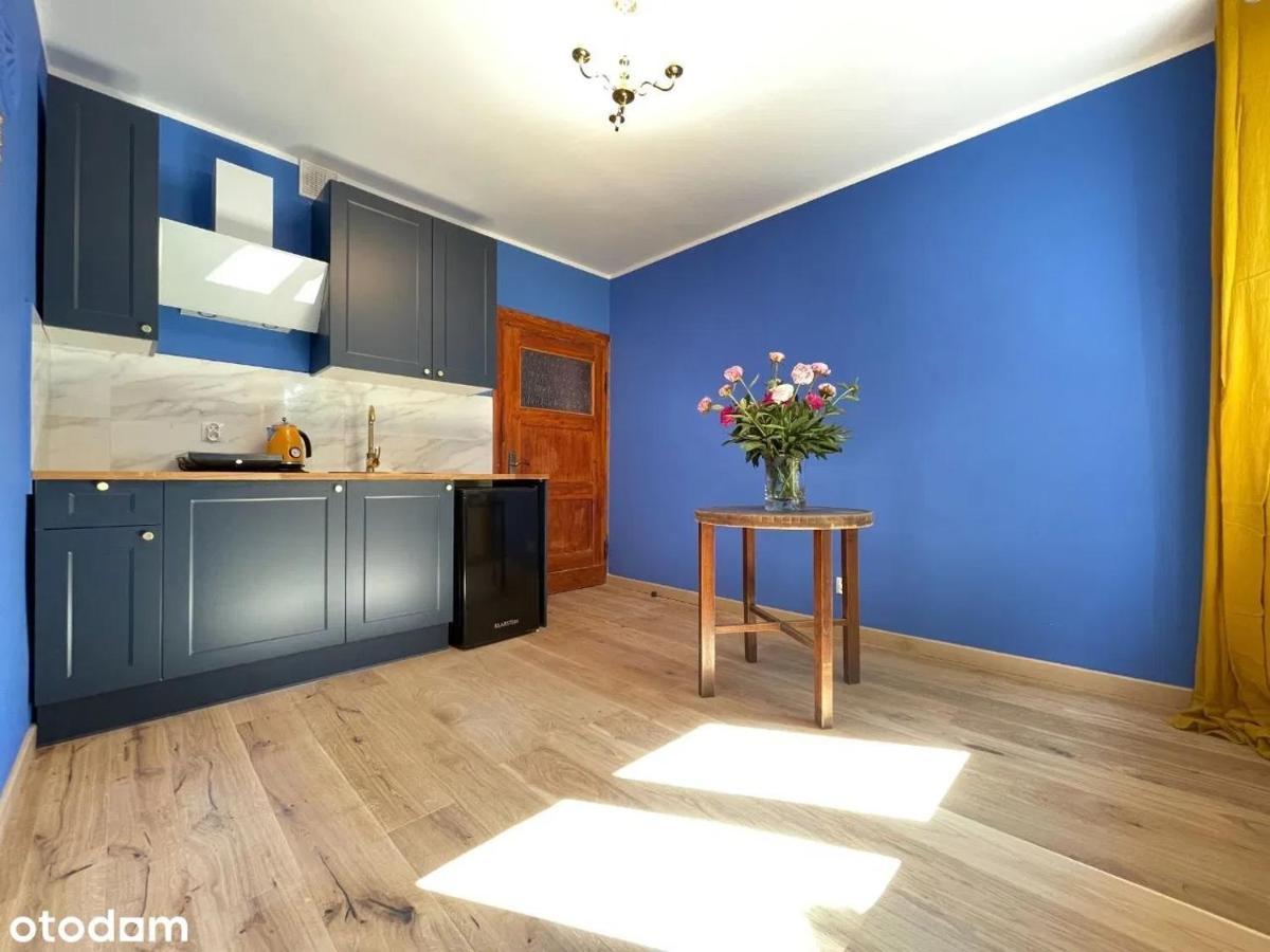 Apartament Kraszewskiego - Retro, Blisko Starowki, Kolo Parku, Ogrod Dla Gosci, Rowery Free Stary Toruń Kültér fotó